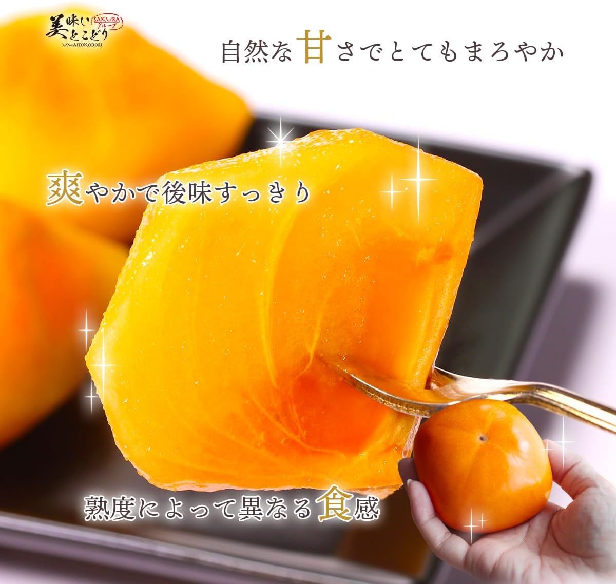 商品画像2