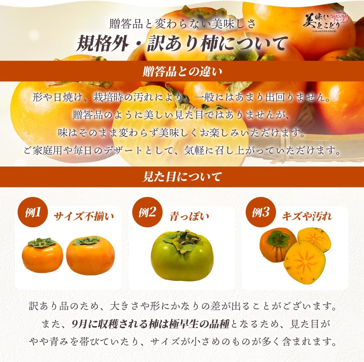 商品画像4