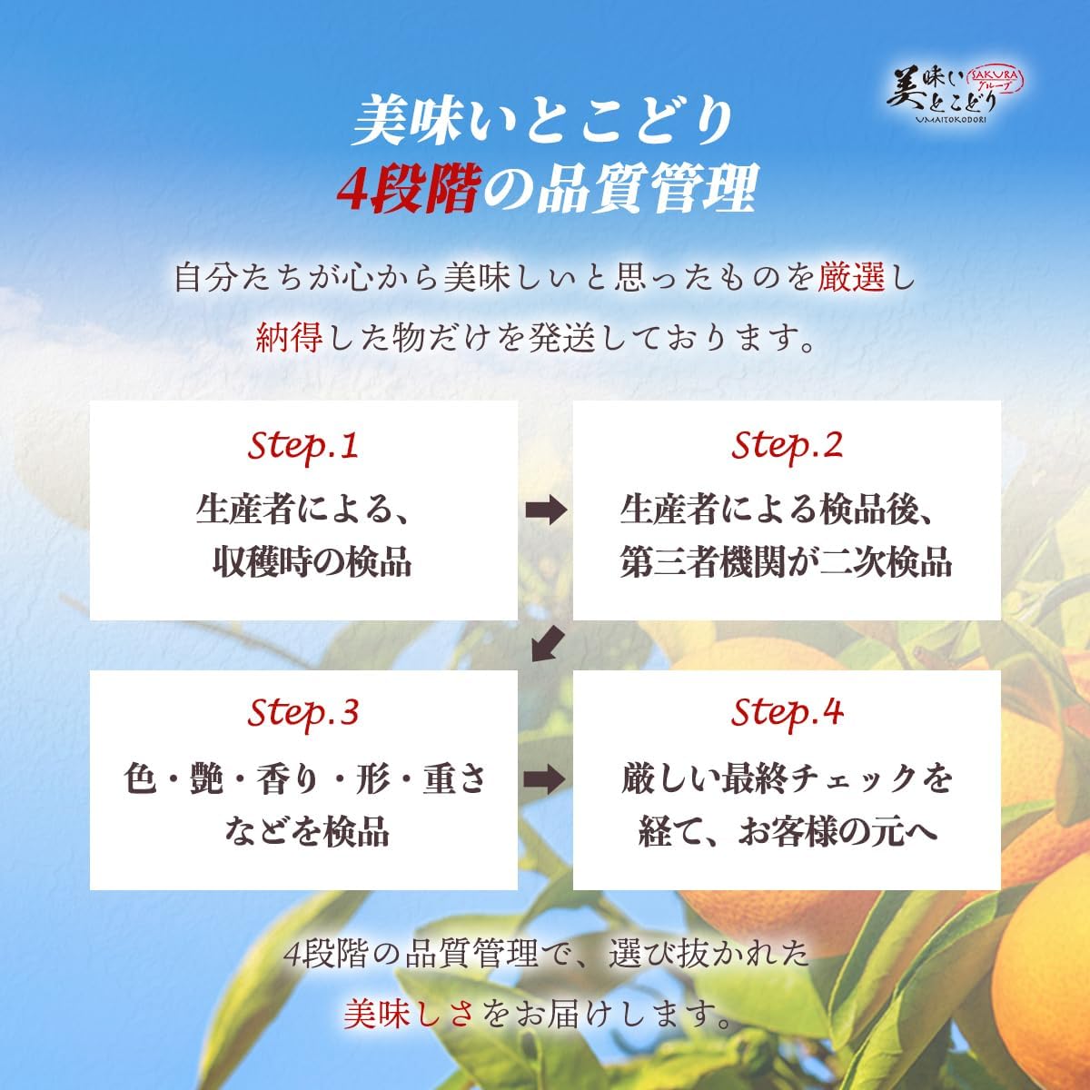商品画像6