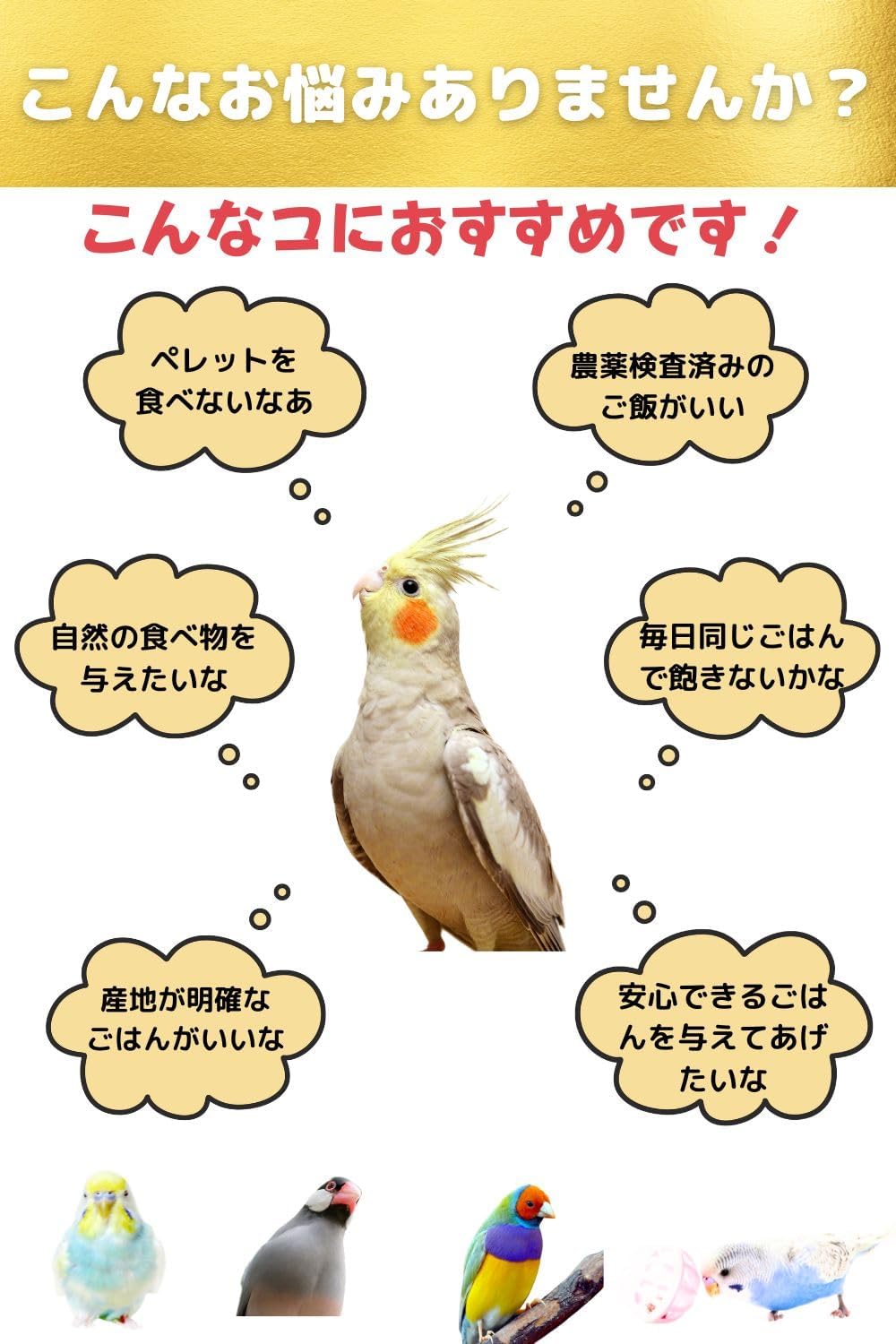 商品画像2