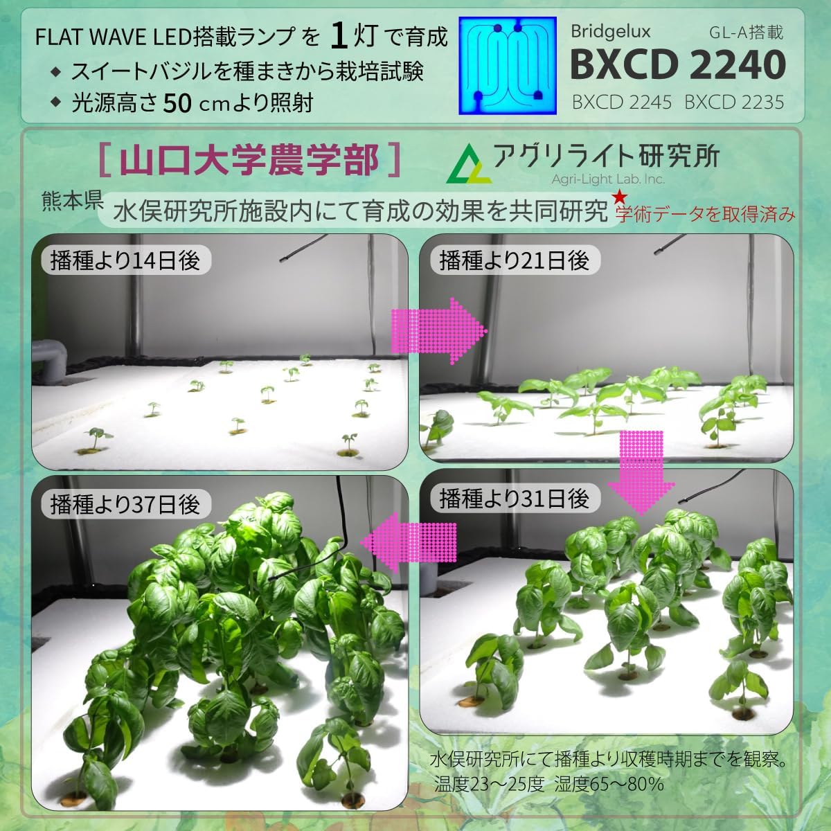 商品画像2