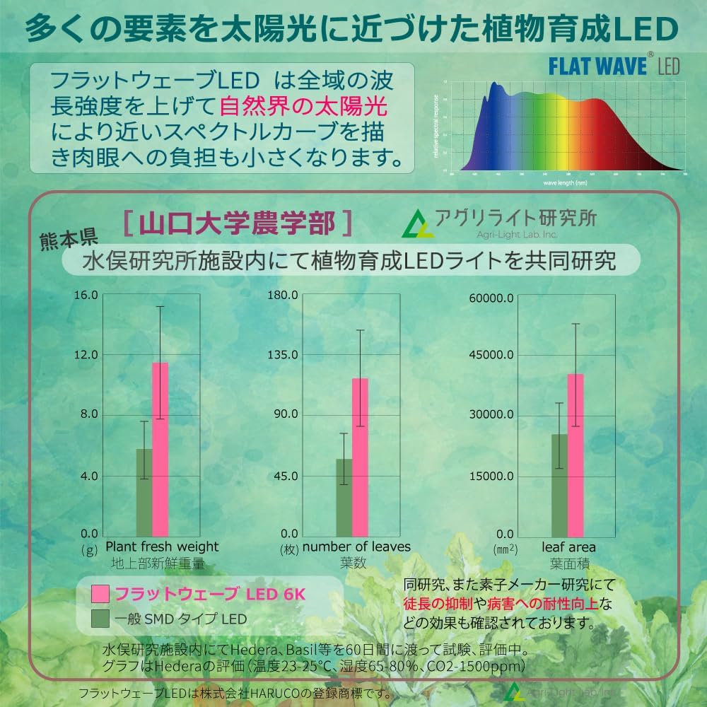 商品画像3