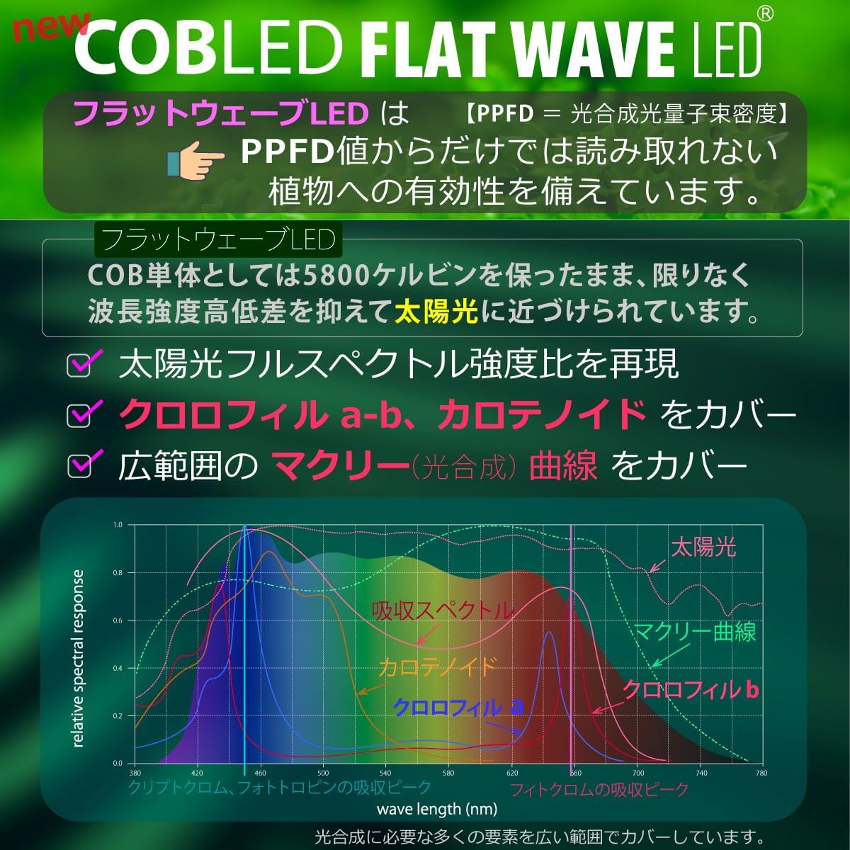 商品画像4