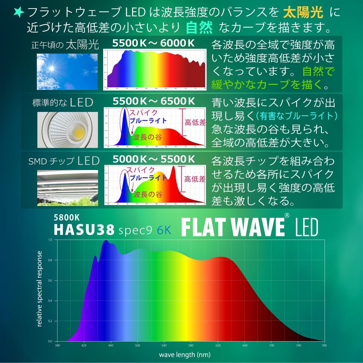 商品画像5