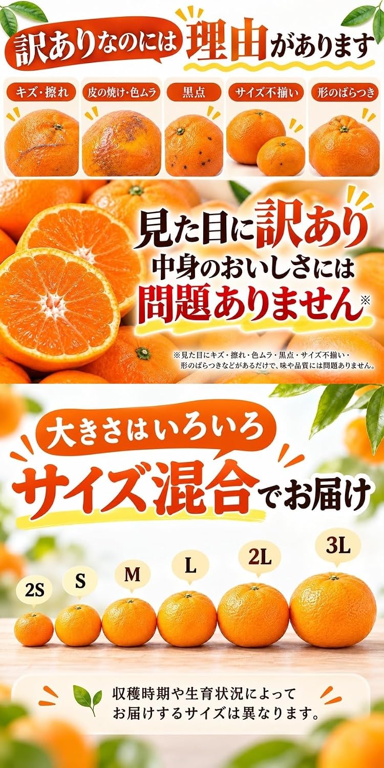 商品画像4
