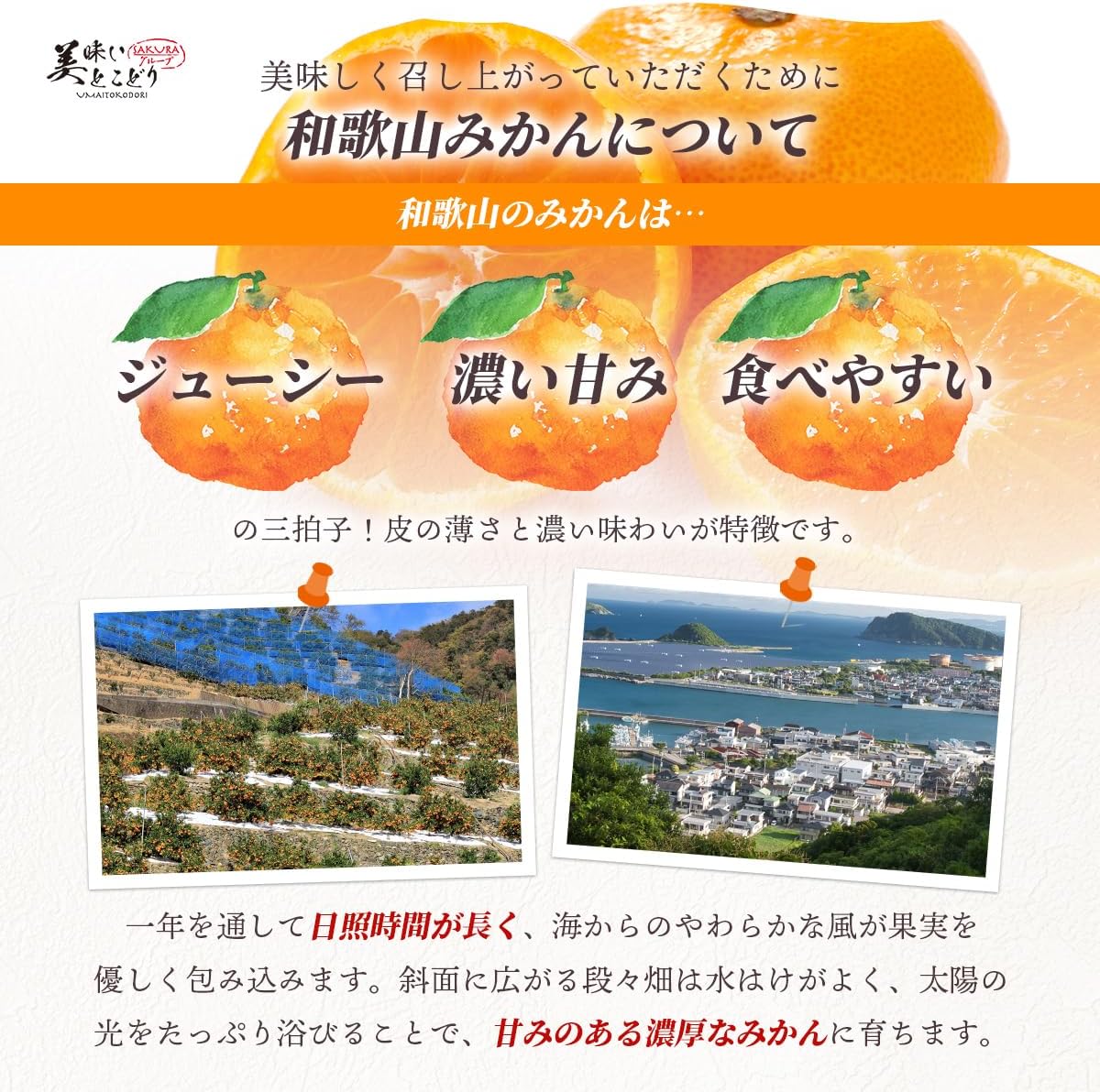 商品画像5