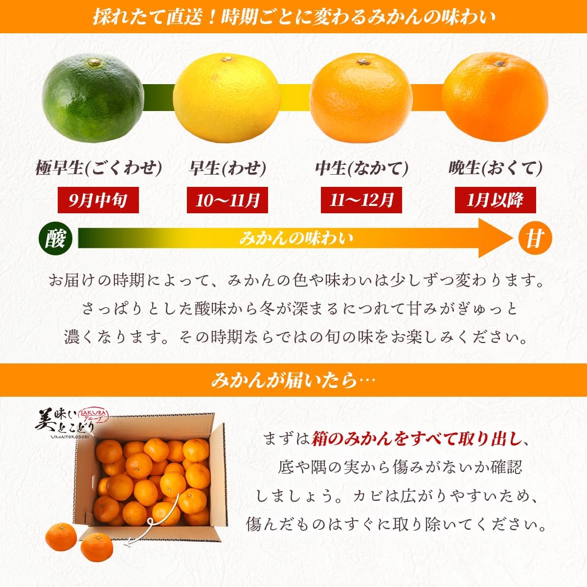 商品画像6