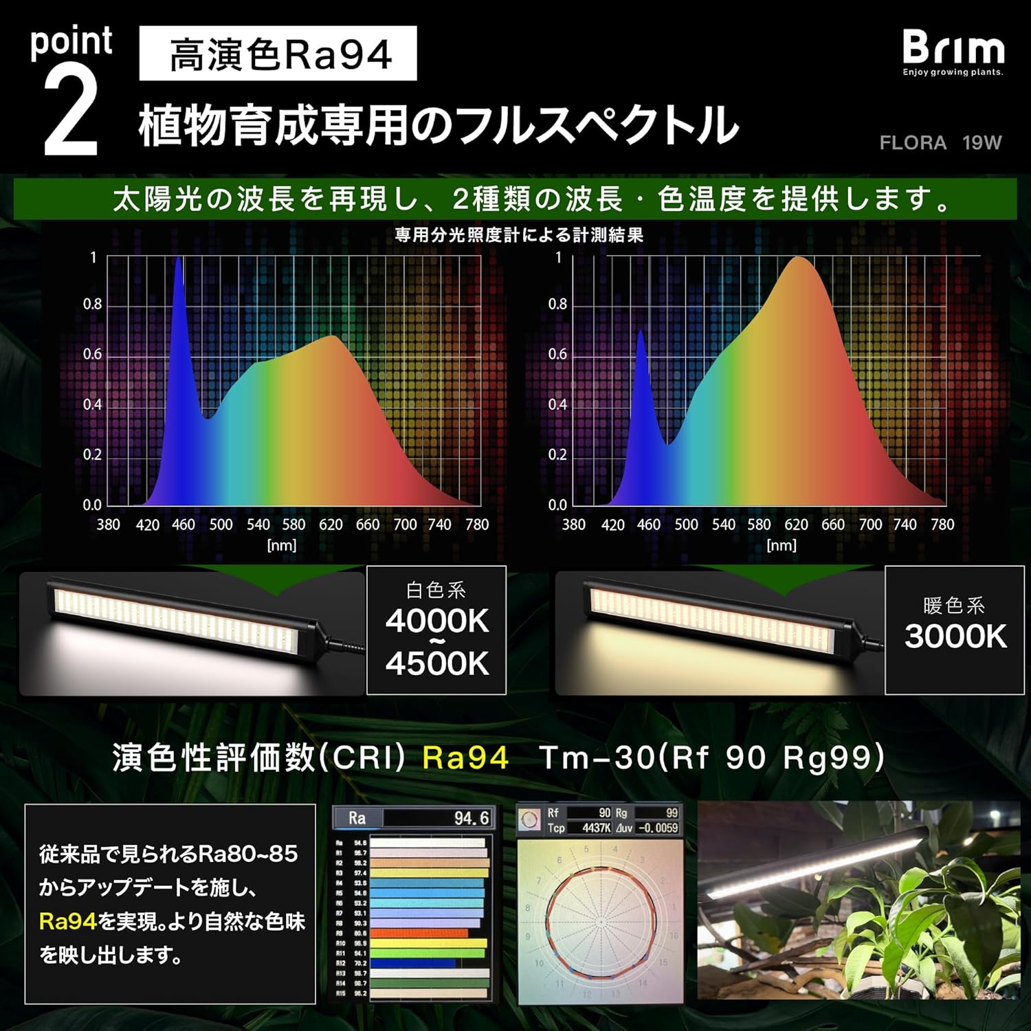 商品画像5