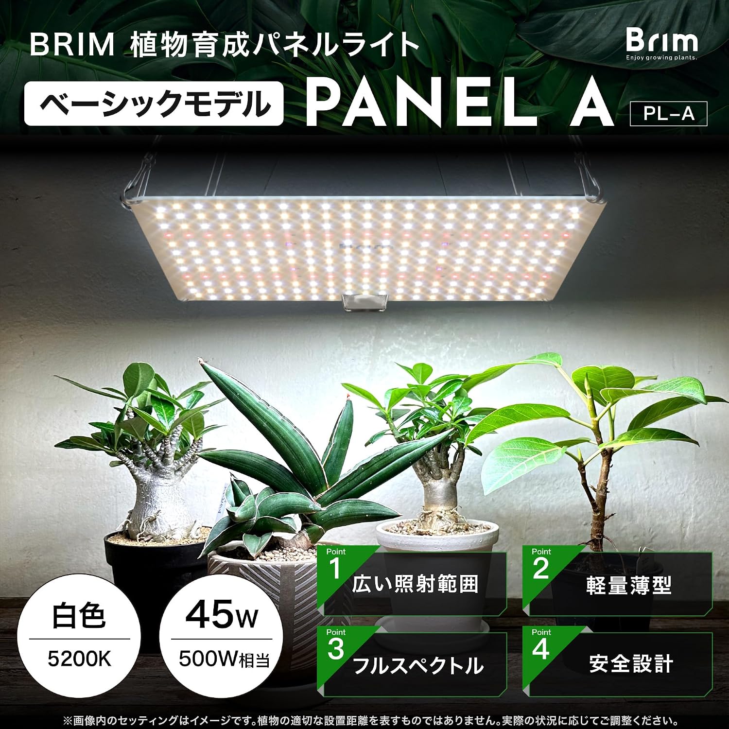 商品画像2