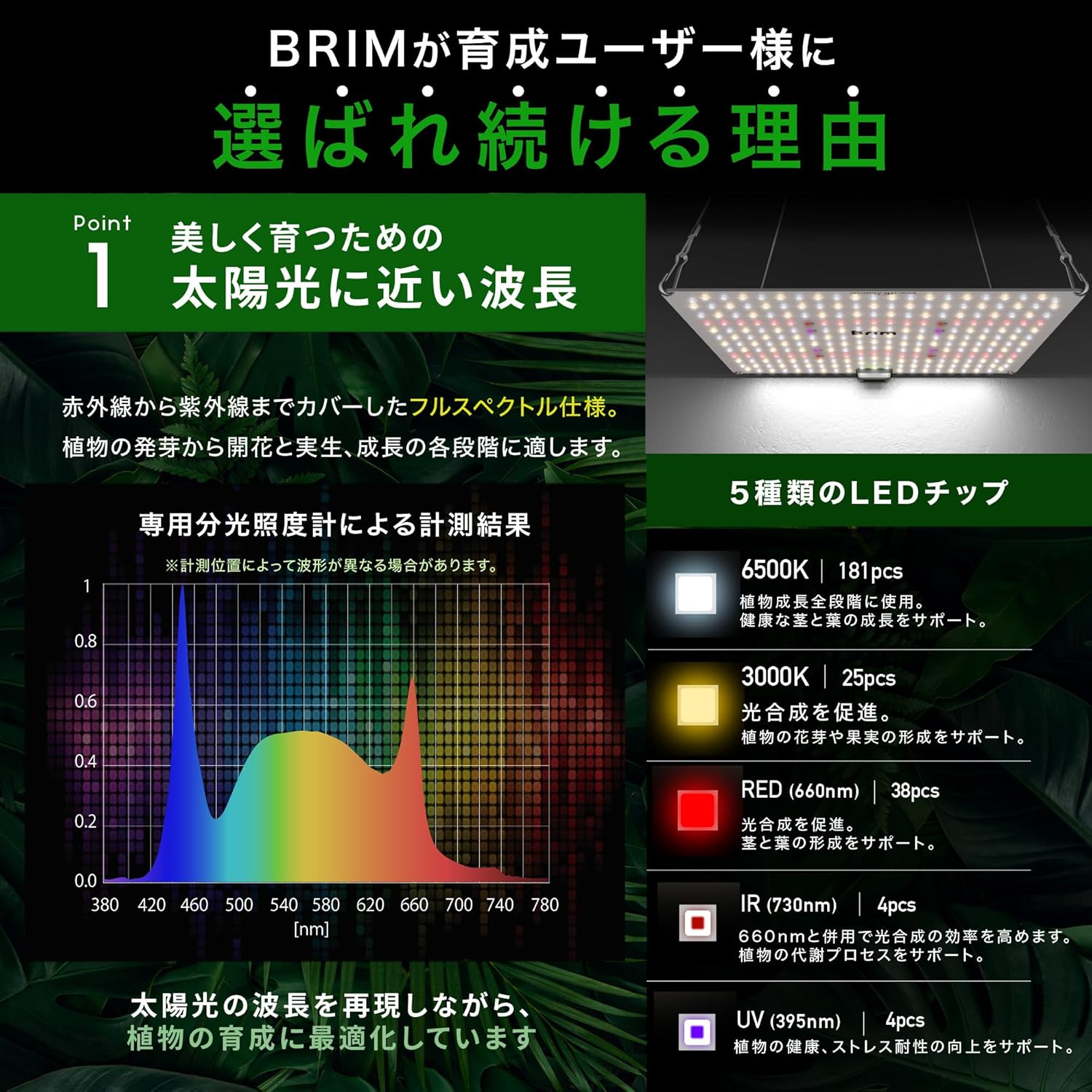 商品画像4
