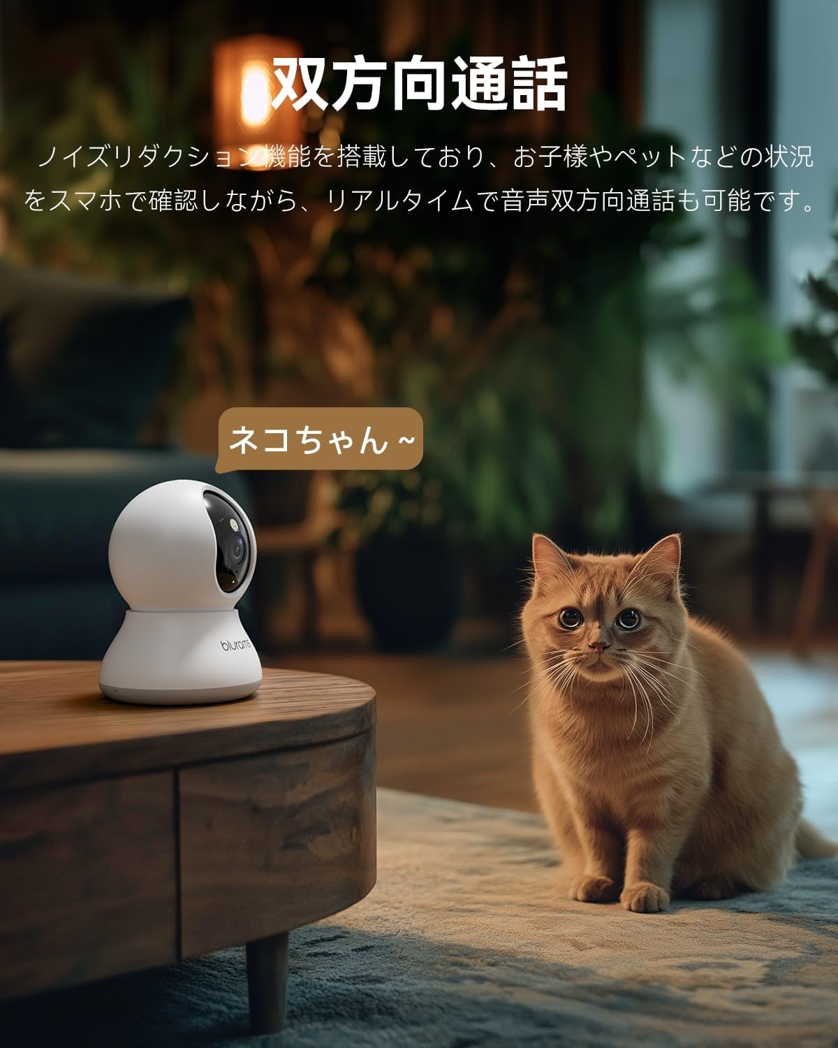 商品画像6