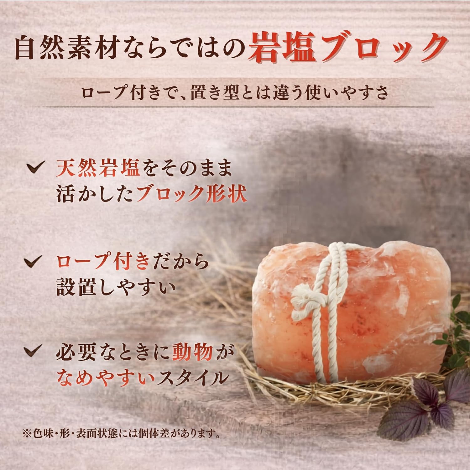 商品画像5
