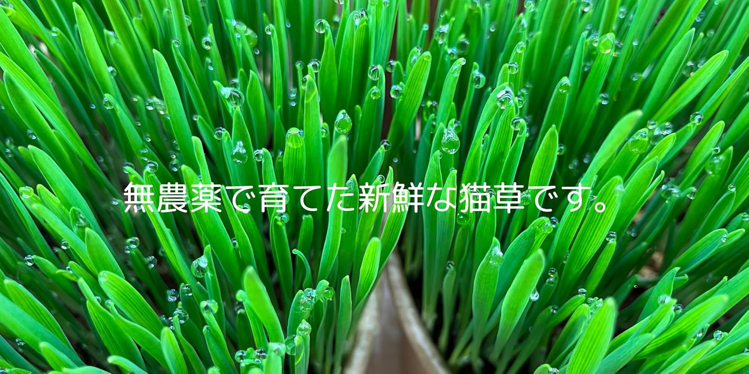 商品画像2