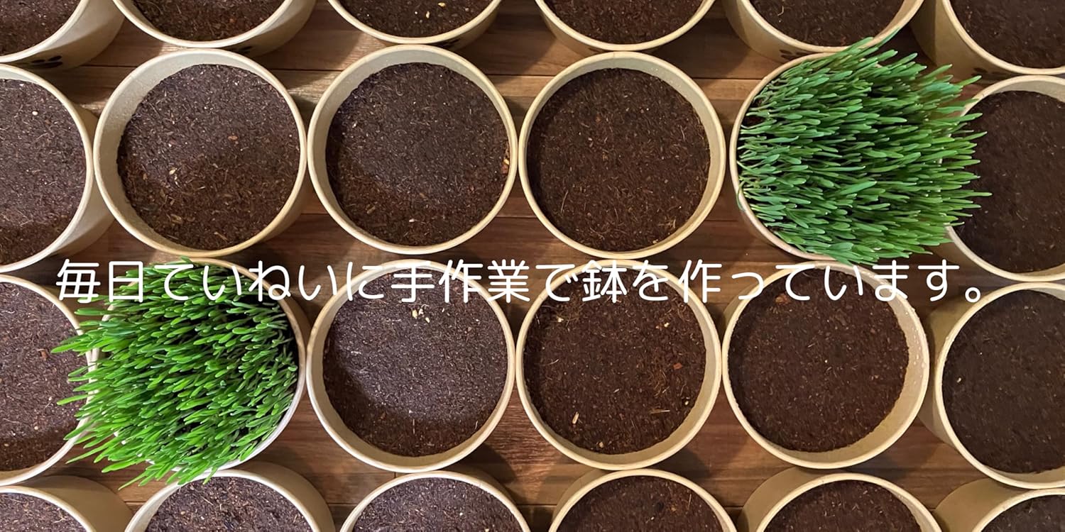 商品画像3
