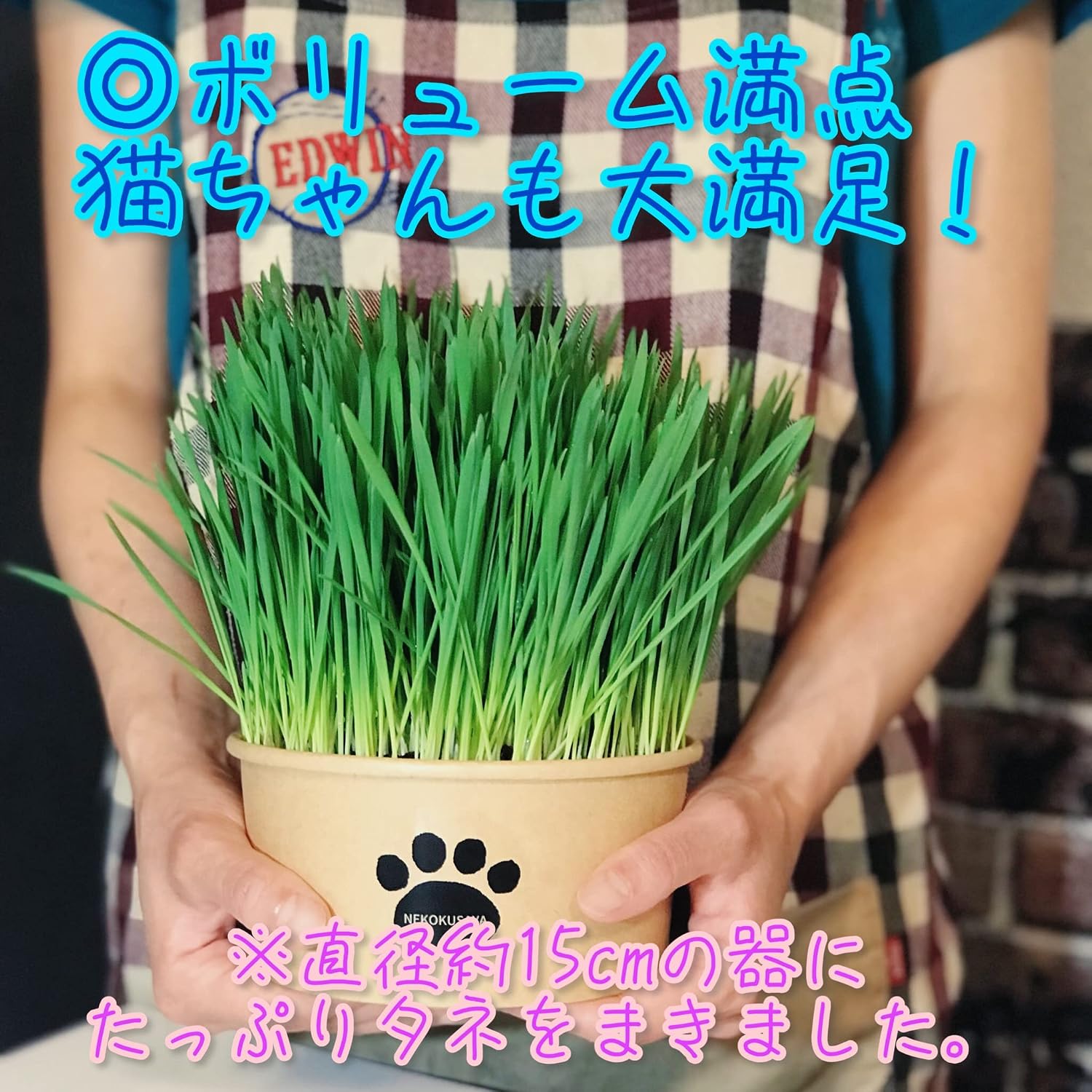 商品画像4