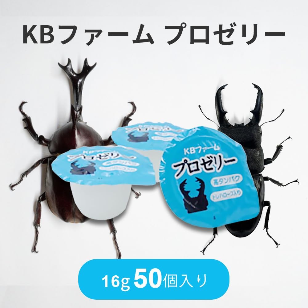 商品画像2