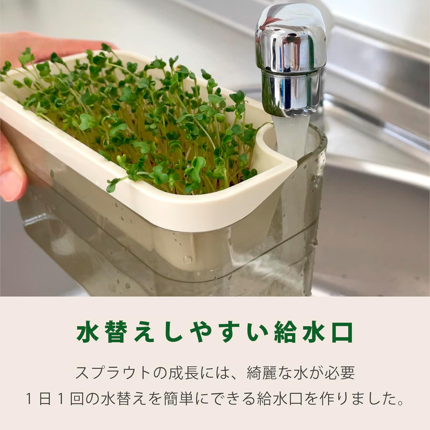 商品画像5