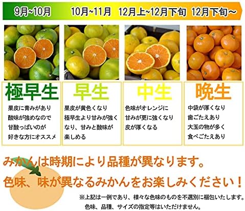 商品画像4