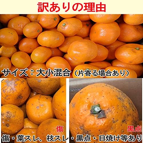 商品画像5