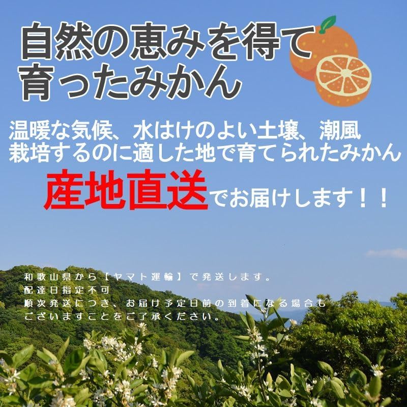 商品画像6
