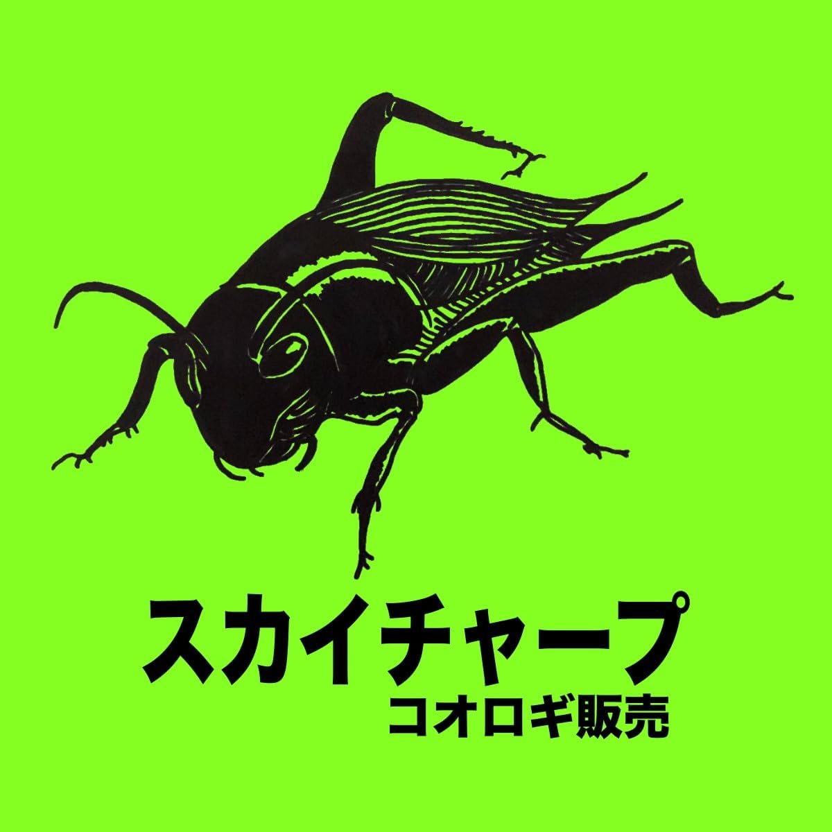 商品画像3