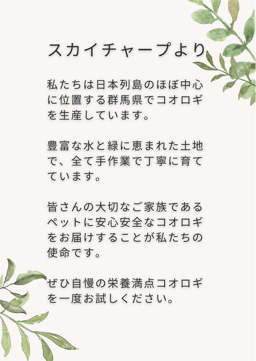 商品画像4