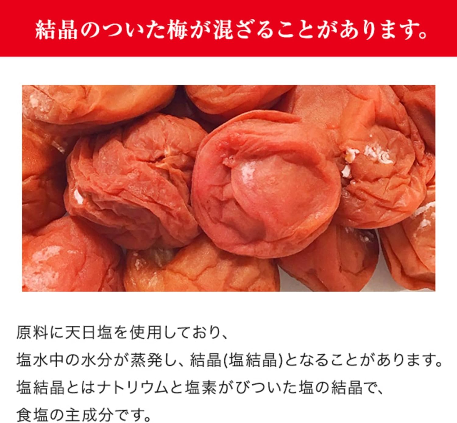 商品画像2