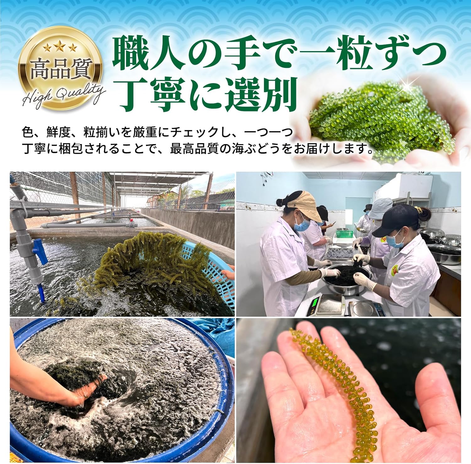 商品画像5