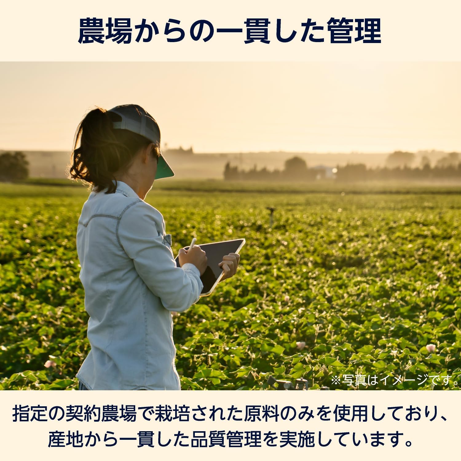 商品画像6