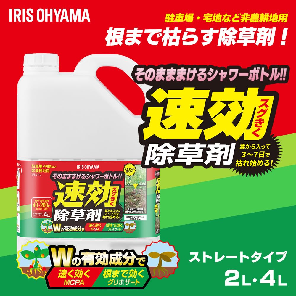 商品画像2