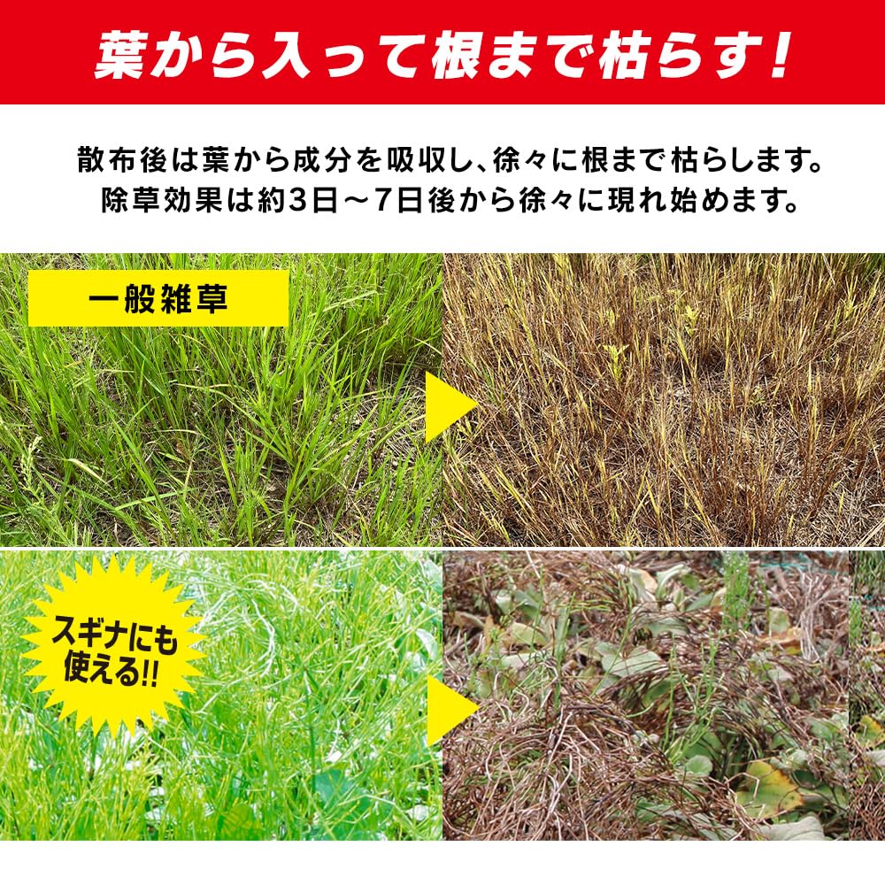 商品画像4