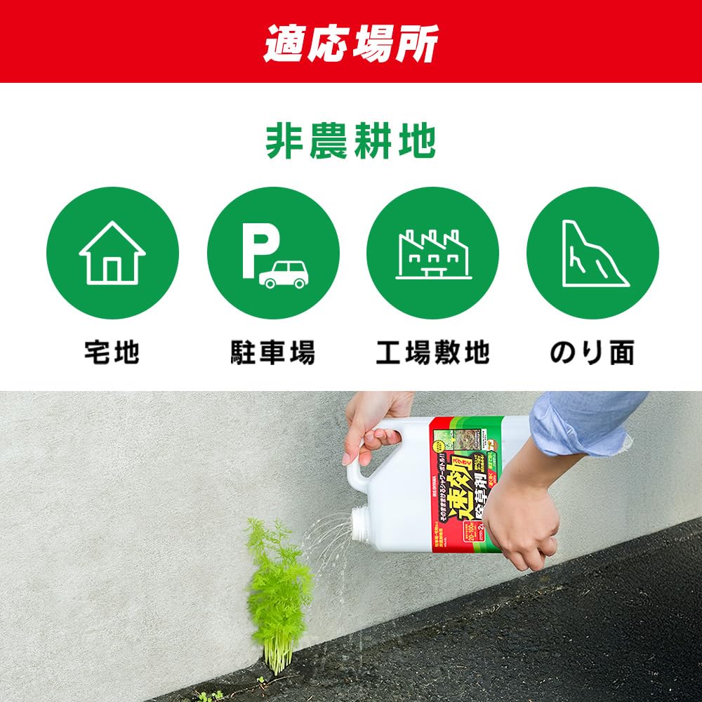 商品画像5