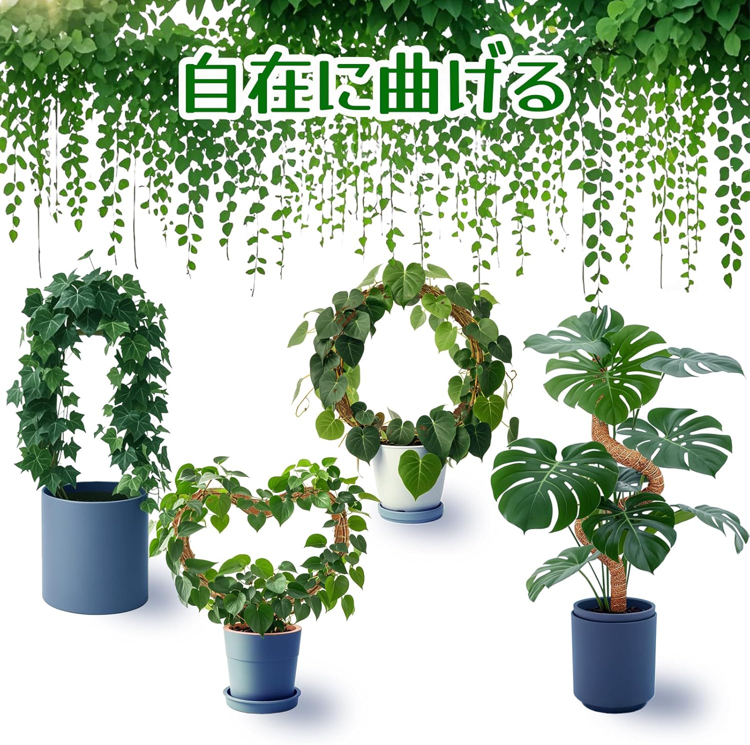 商品画像2