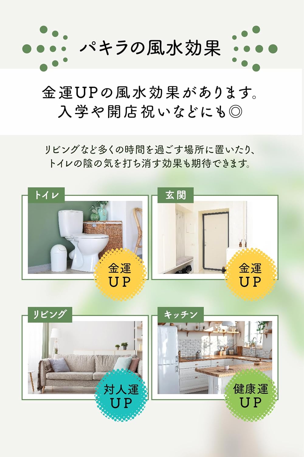 商品画像6
