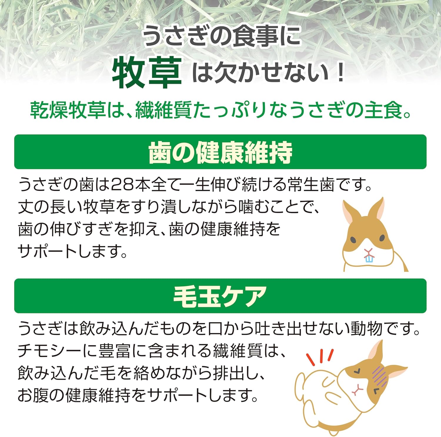 商品画像5