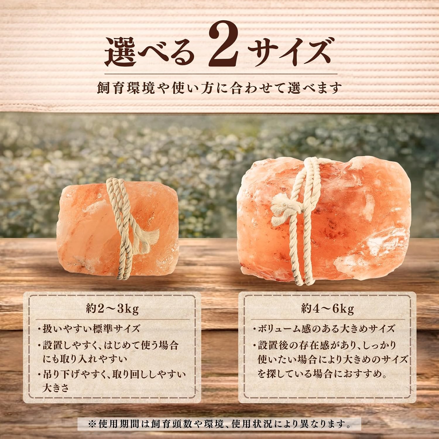 商品画像3