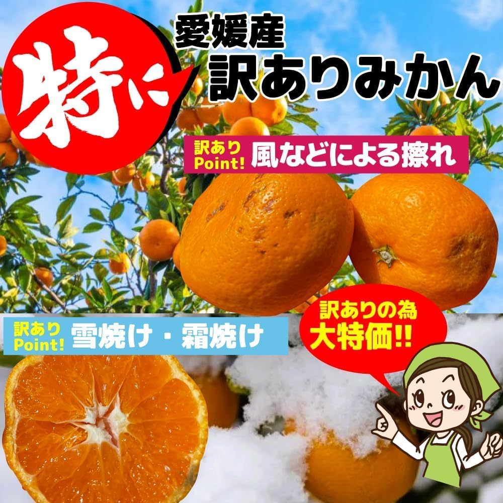商品画像4