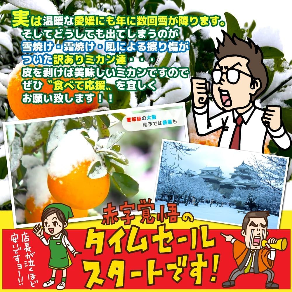 商品画像5