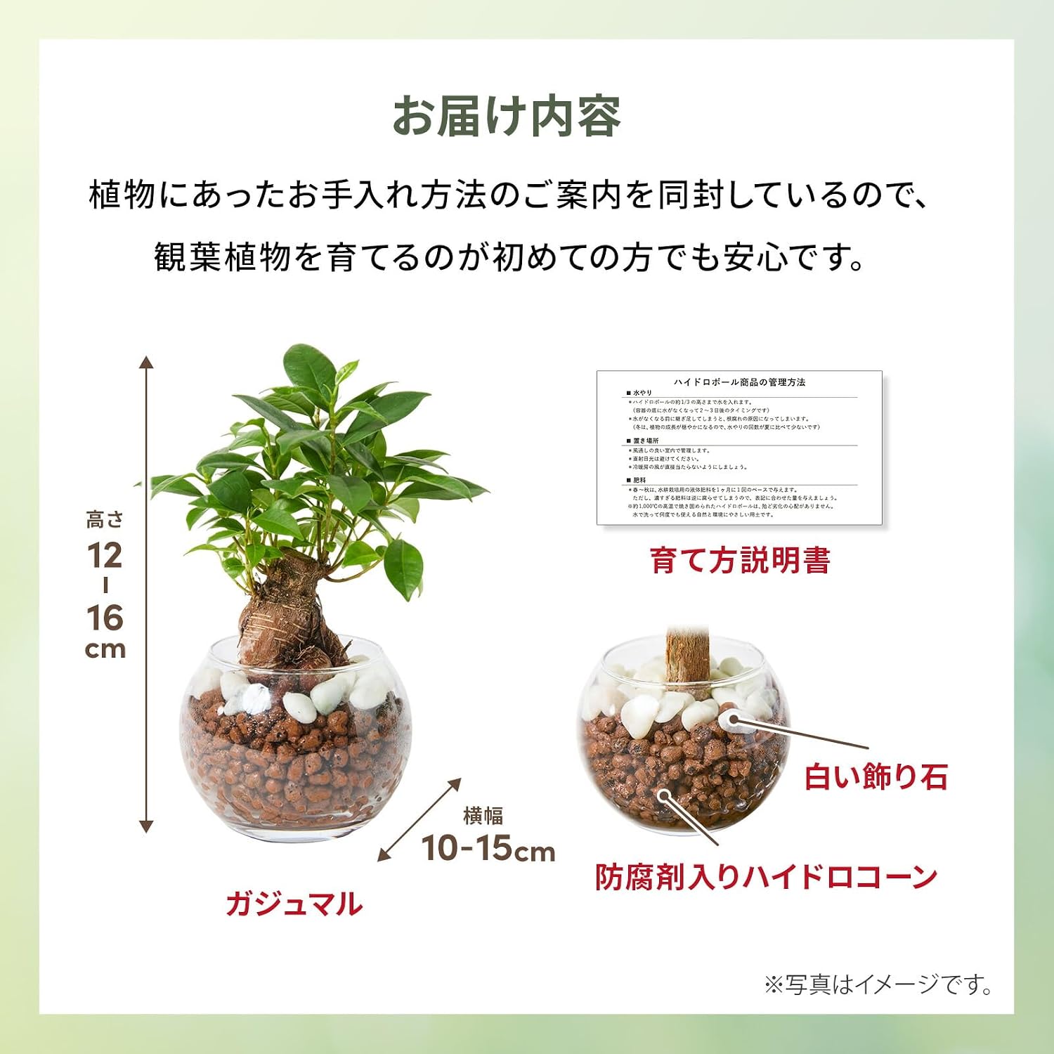 商品画像6
