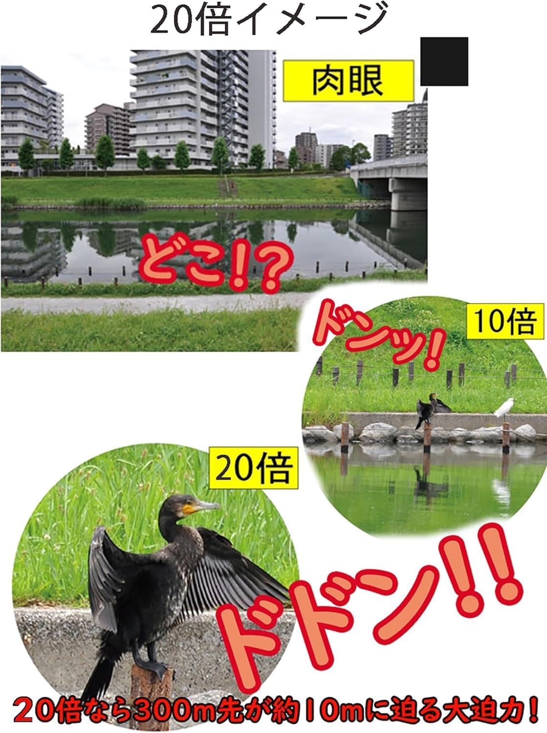 商品画像4