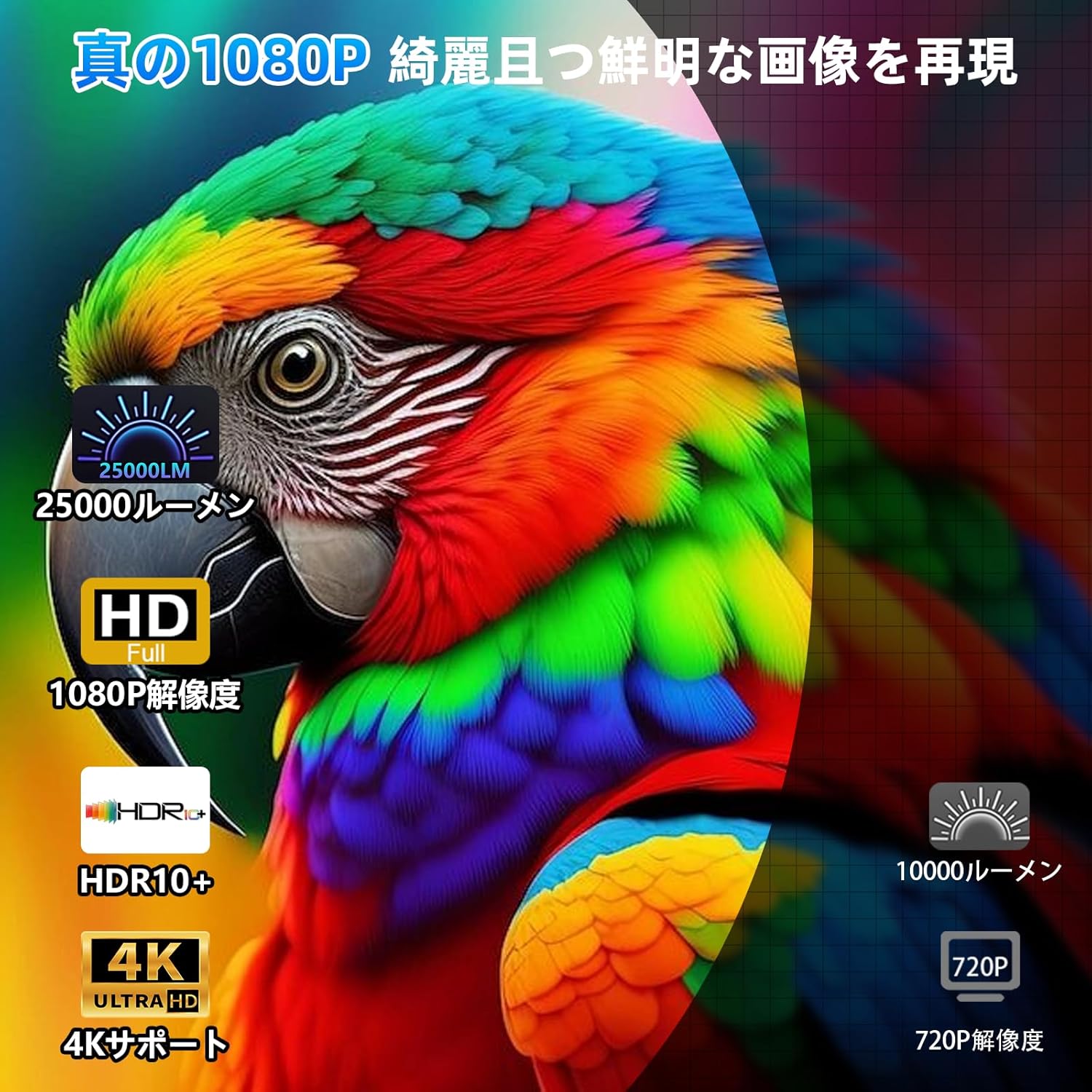 商品画像5