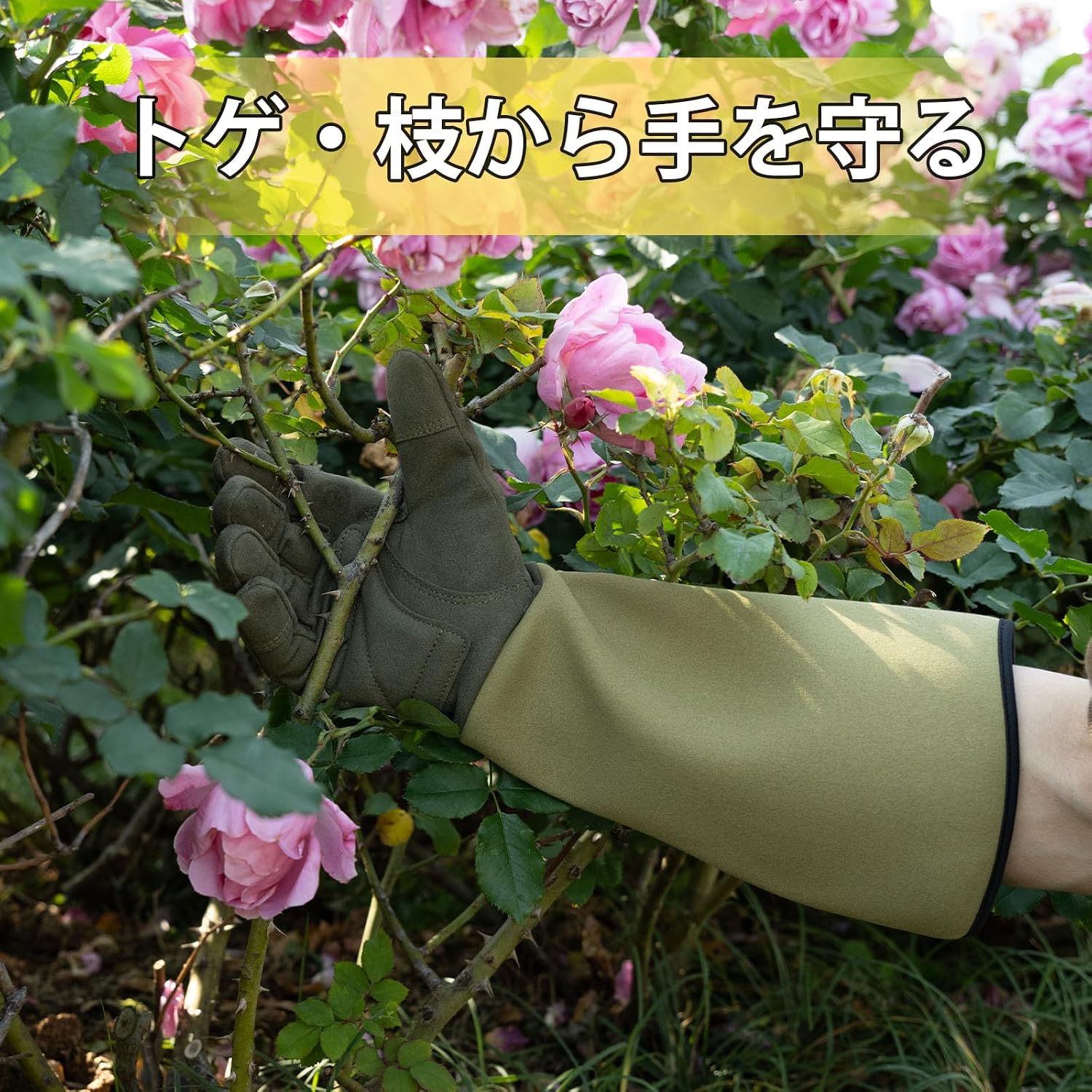 商品画像4