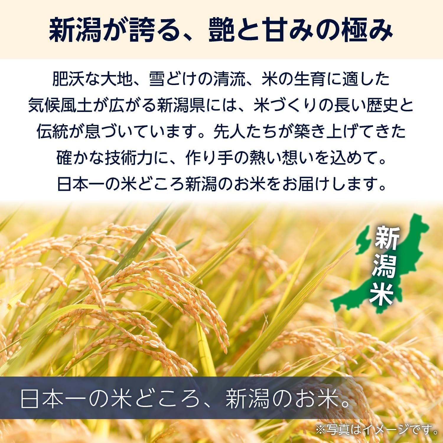 商品画像4