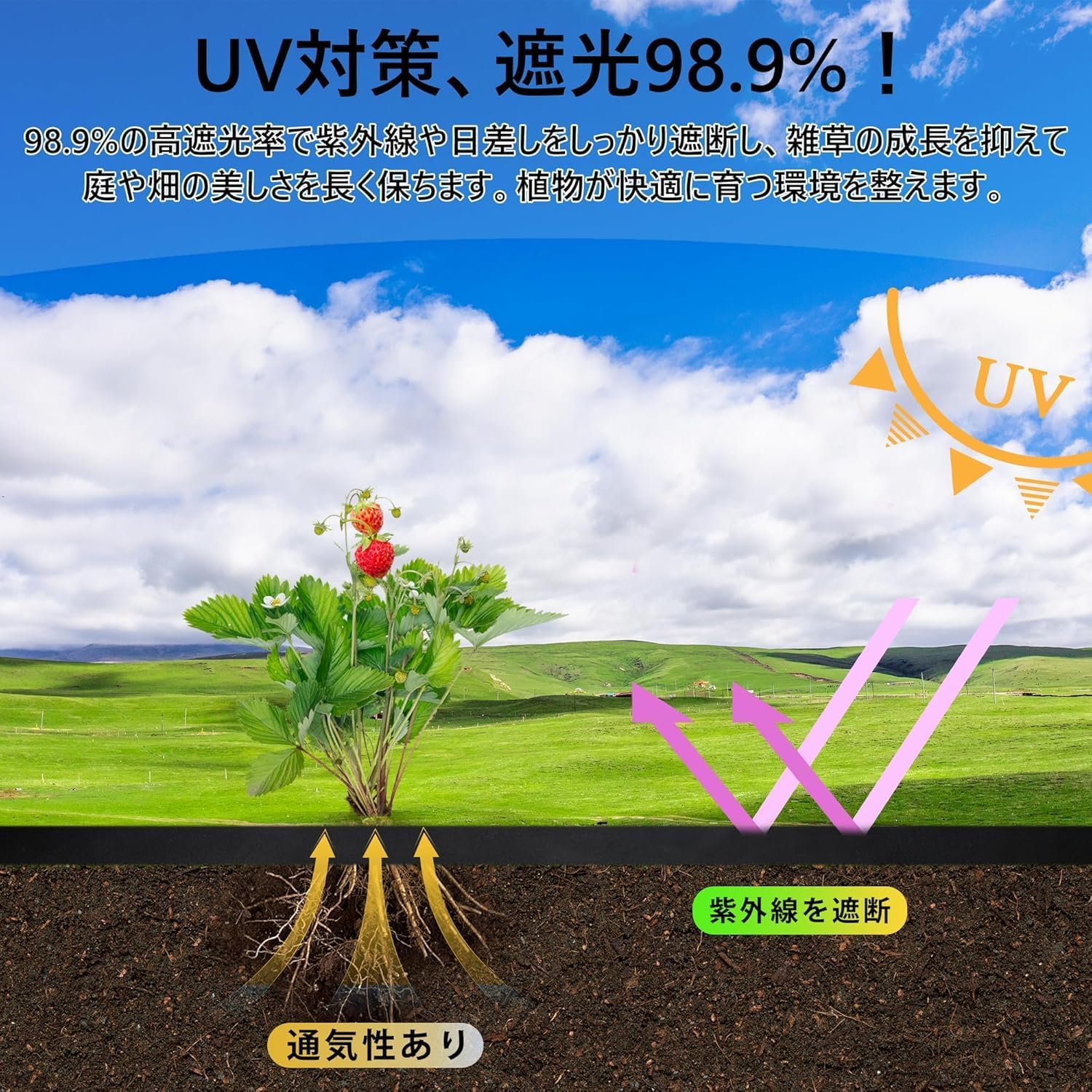 商品画像4