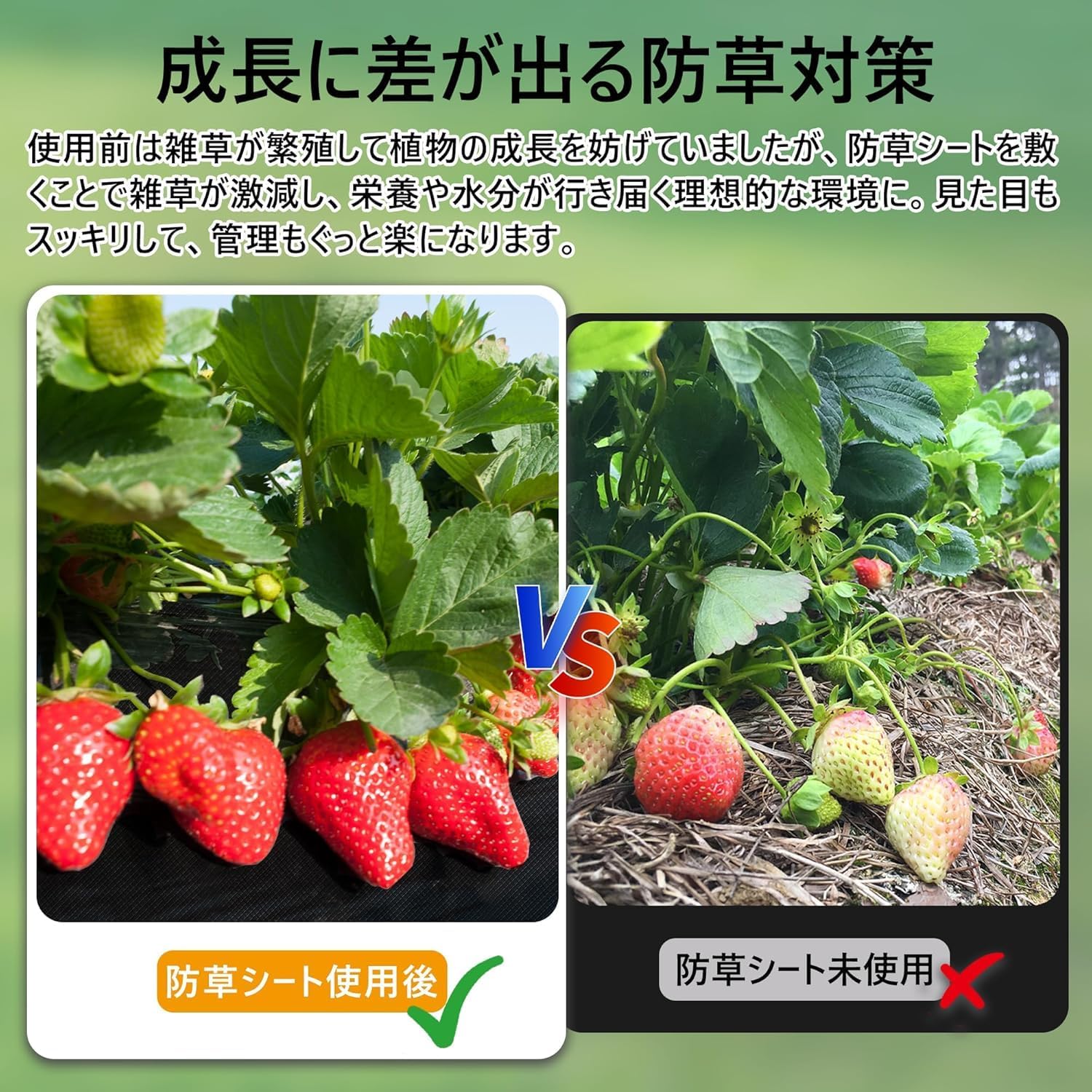 商品画像5