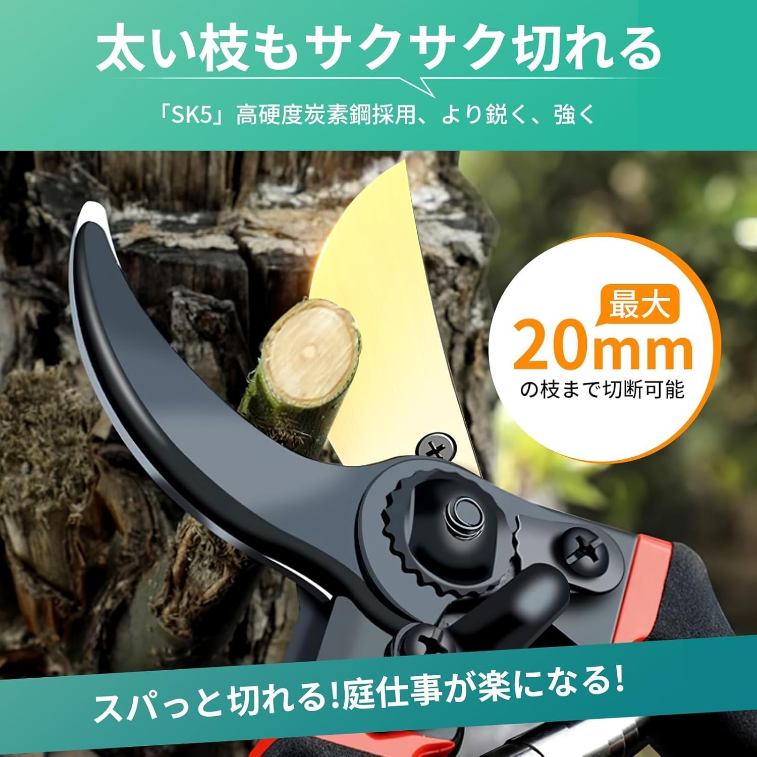 商品画像4