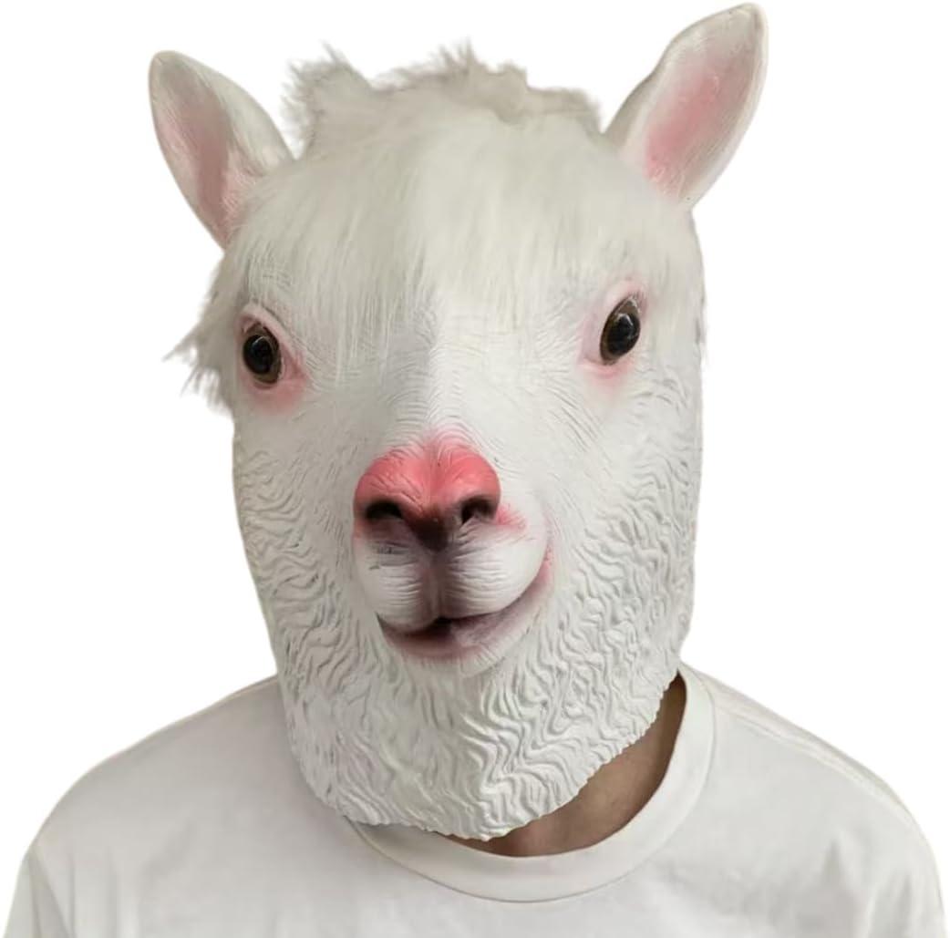 商品画像5